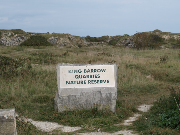 King Barrow (Round Barrow(s)) by formicaant
