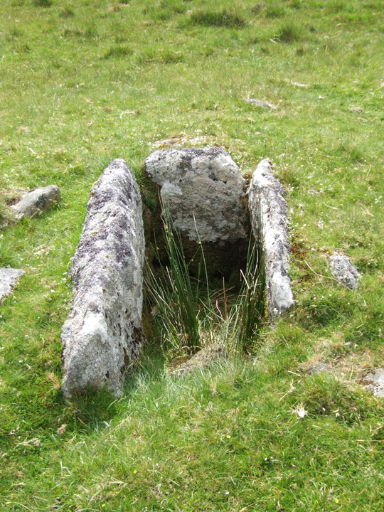 Chittaford Cairn and Cist (Cist) by Mr Hamhead