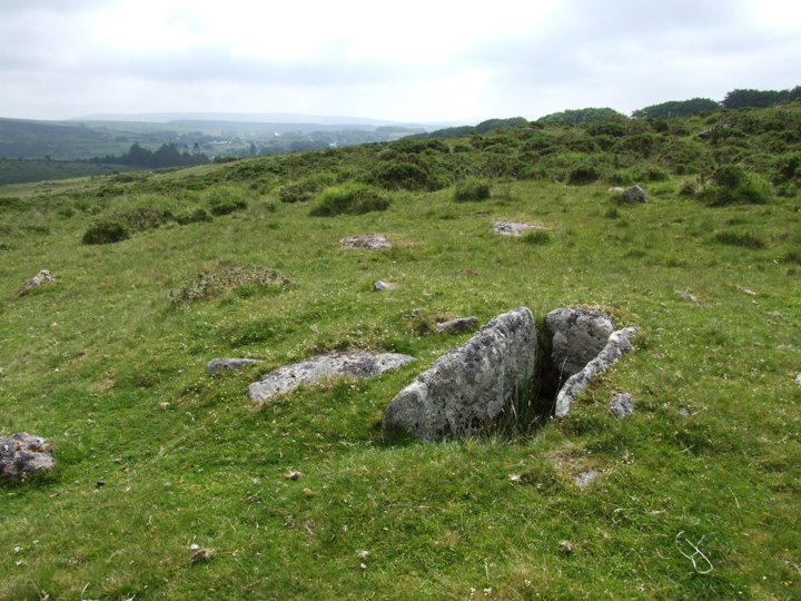 Chittaford Cairn and Cist (Cist) by Mr Hamhead