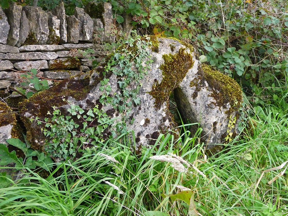 Hangman's Stone, Hampnett (Holed Stone) by thesweetcheat