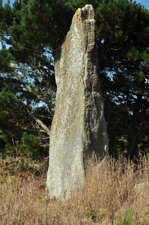 Le Reun (Standing Stone / Menhir) by Jane