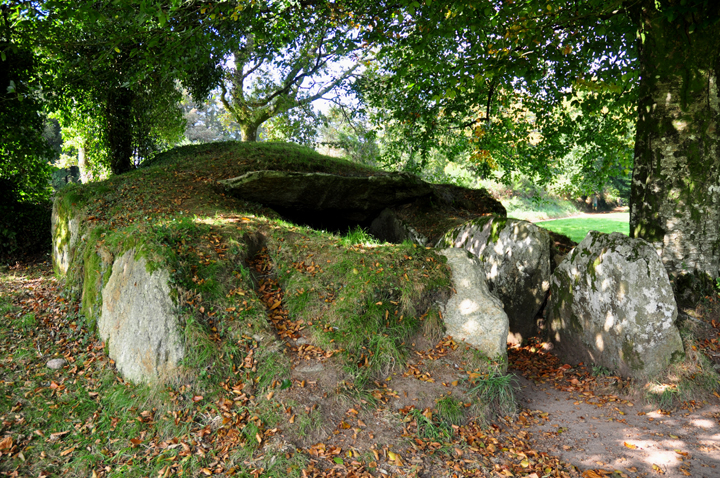 Ty Ar Boudiged (Chambered Tomb) by Jane