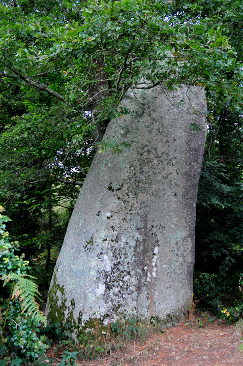 Kerangosquer (Standing Stone / Menhir) by Moth