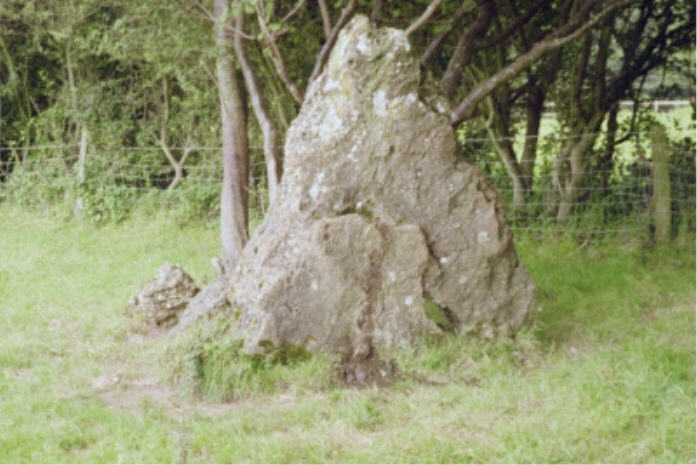 The Wimblestone (Standing Stone / Menhir) by hamish