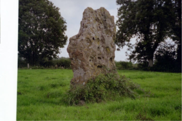 Yarberry Farm (Standing Stone / Menhir) by hamish