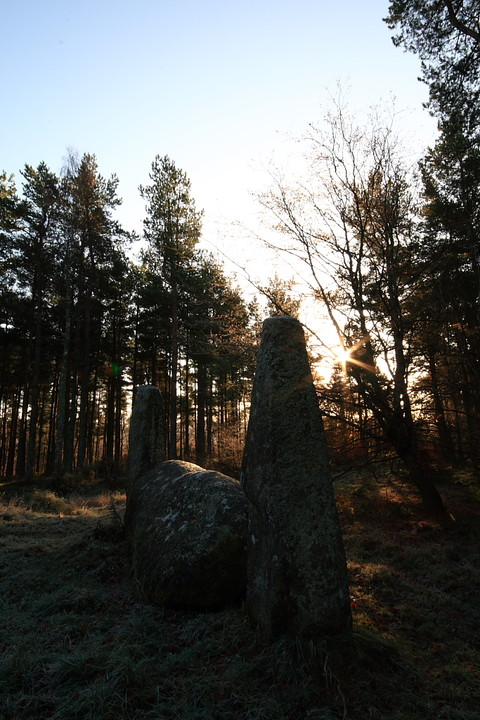 Cothiemuir Wood (Stone Circle) by Chris