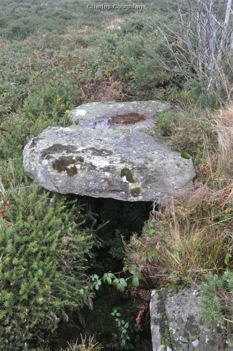 Corderry (Wedge Tomb) by bogman