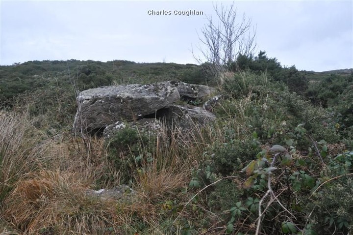 Corderry (Wedge Tomb) by bogman