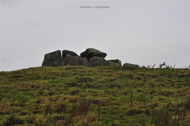 Knockcurraghbola Commons (Wedge Tomb) by bogman