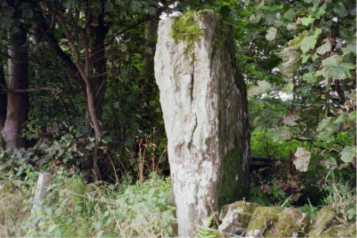 Glenhead Standing Stone (Standing Stone / Menhir) by hamish