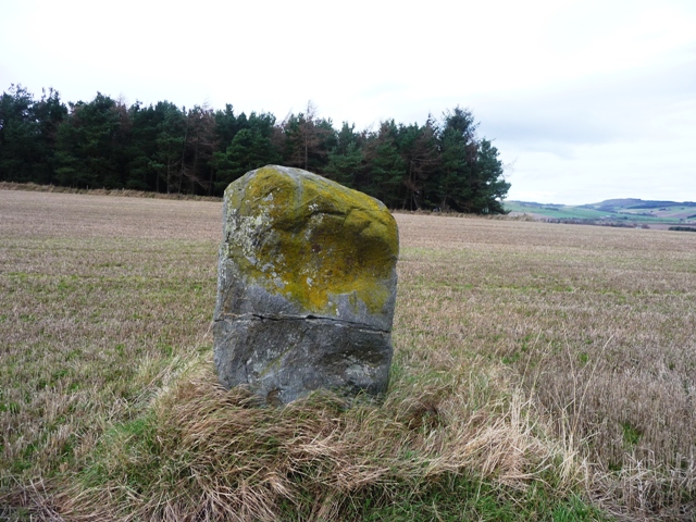 Gallow Hill (Standing Stone / Menhir) by drewbhoy