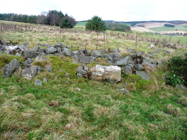 South Brideswell 2 (Cairn(s)) by drewbhoy