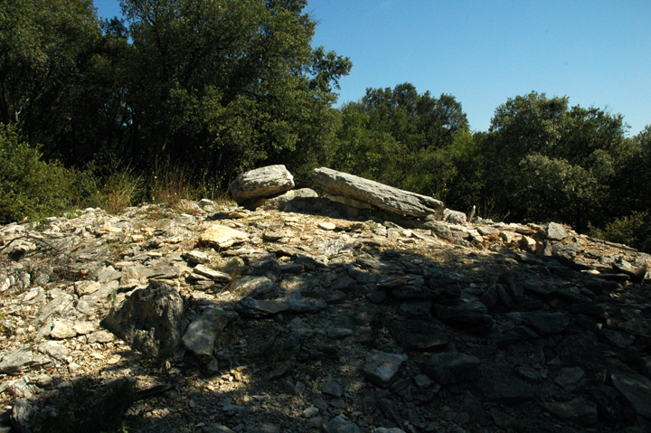 Bois des Geants - dolmen 5 (Dolmen / Quoit / Cromlech) by Moth
