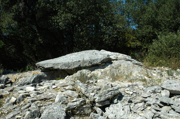 Bois des Geants - dolmen 5 (Dolmen / Quoit / Cromlech) by Moth