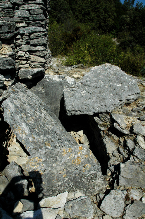 Bois des Geants - dolmen 6 (Dolmen / Quoit / Cromlech) by Moth