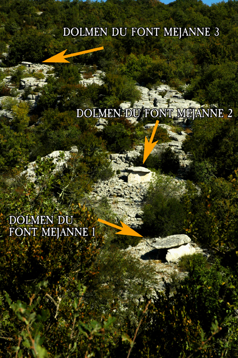 Dolmens du Font Mejanne (Complex) by Moth