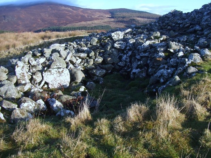 Boath Long and Short (Chambered Cairn) by strathspey