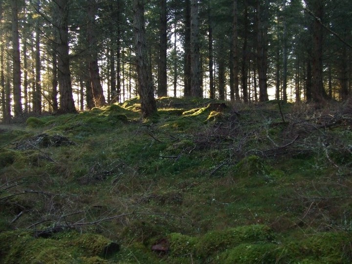 Dalreoch Wood (Cairn(s)) by strathspey