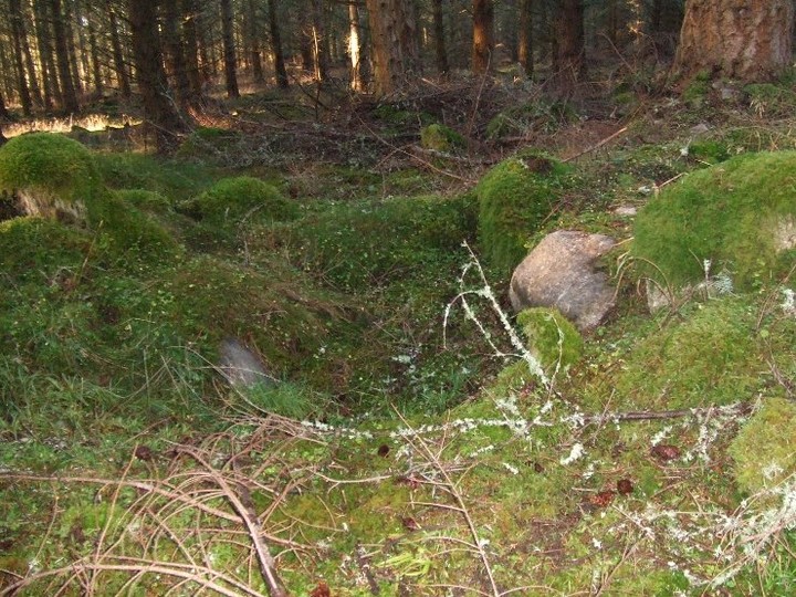 Dalreoch Wood (Cairn(s)) by strathspey