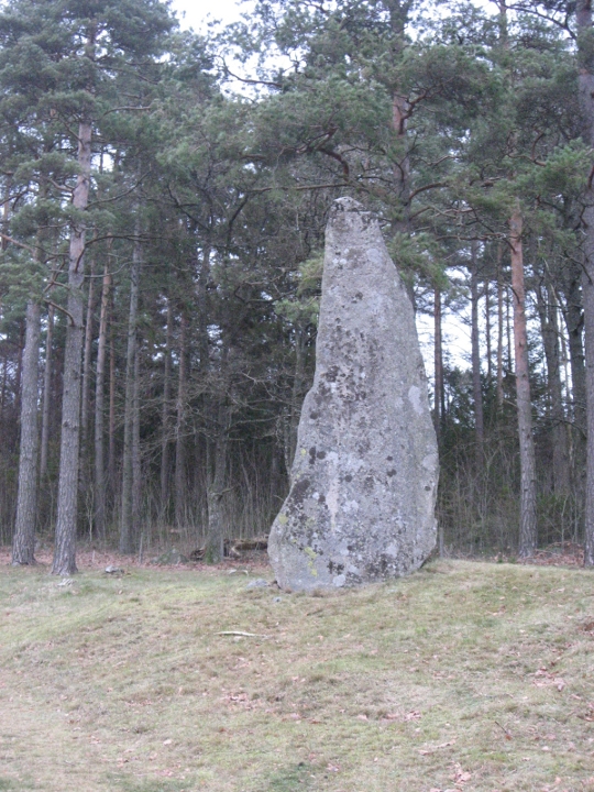 Blomsholm (Stone Circle) by Vragebugten