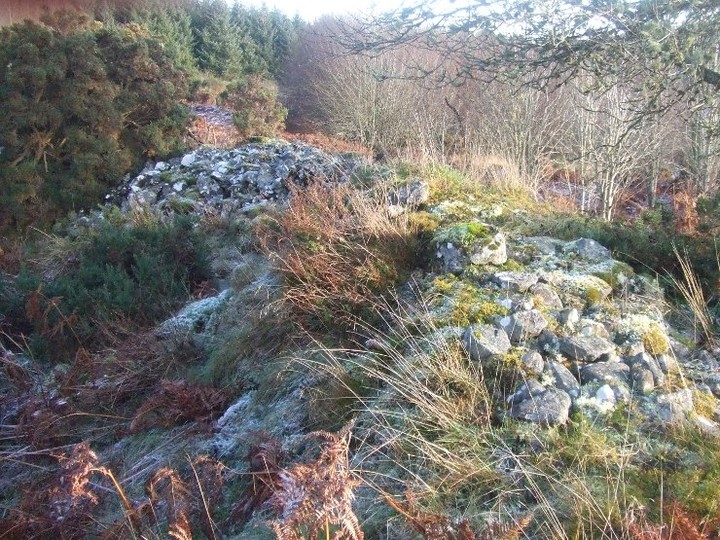 Newmore Wood Cairn (Cairn(s)) by strathspey