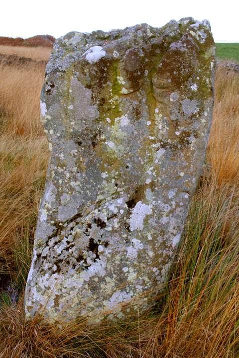 Doddington Stone Circle (Stone Circle) by border-glider