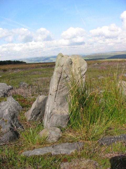 Gibbet Moor Standing Stones (Standing Stone / Menhir) by stubob
