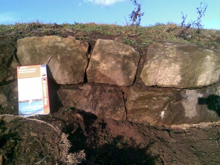 Howick Hillfort (Enclosure) by mascot