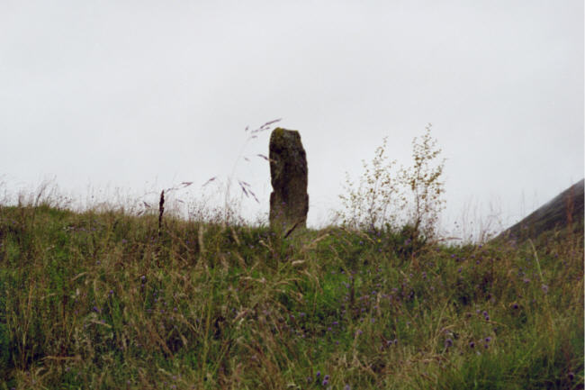 Old Kirk (Spittal of Glenshee) (Standing Stone / Menhir) by hamish