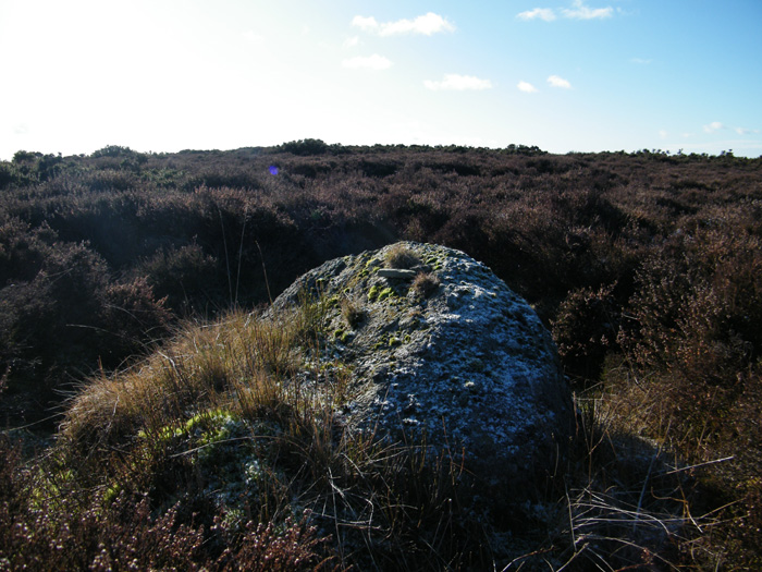 Cefn Wylfre (Stone Circle) by cerrig