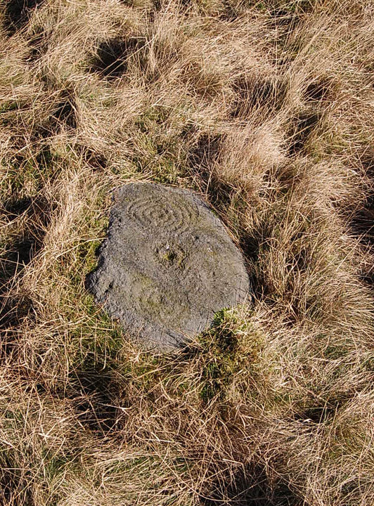 Middleton Moor 482 (Cup and Ring Marks / Rock Art) by fitzcoraldo