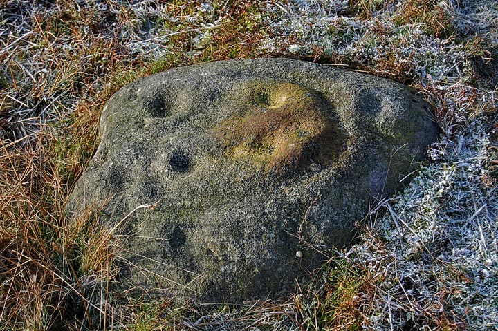 Middleton Moor 446 (Cup and Ring Marks / Rock Art) by fitzcoraldo