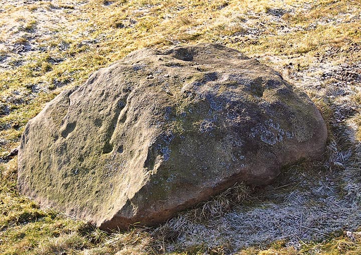 Middleton Moor 437 (Cup and Ring Marks / Rock Art) by fitzcoraldo