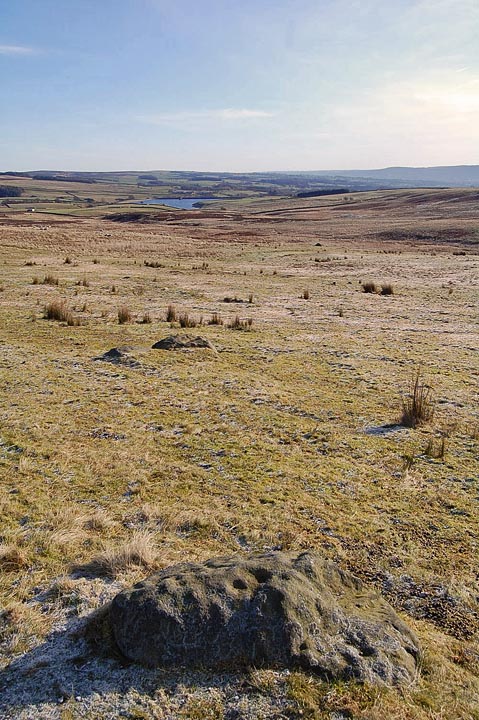 Middleton Moor 435 (Cup and Ring Marks / Rock Art) by fitzcoraldo