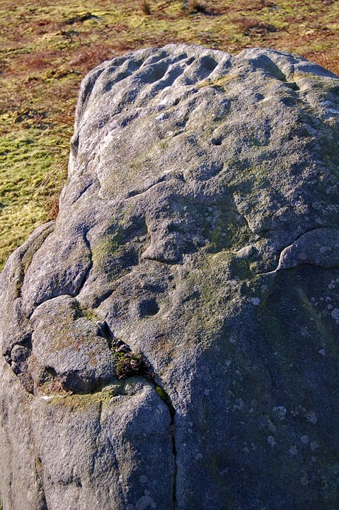 Middleton Moor 462 (Cup and Ring Marks / Rock Art) by fitzcoraldo