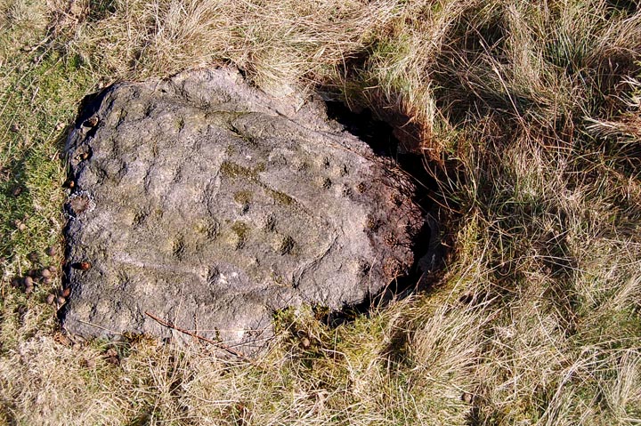 Middleton Moor 481 Latice Rock (Cup and Ring Marks / Rock Art) by fitzcoraldo