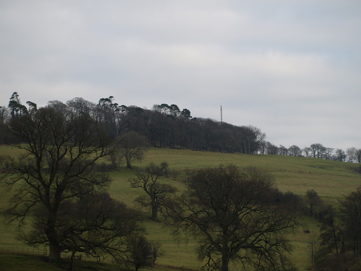Dogbury Hill (Hillfort) by formicaant