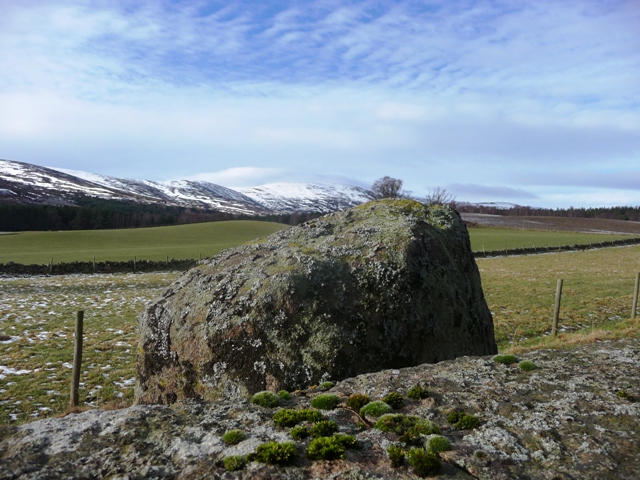 St Walloch's Stone (Standing Stone / Menhir) by drewbhoy