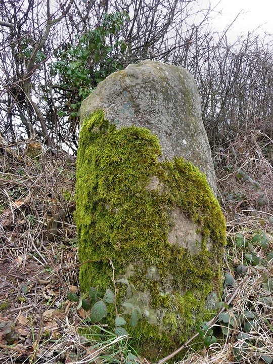 Bush Bank (Standing Stone / Menhir) by thesweetcheat
