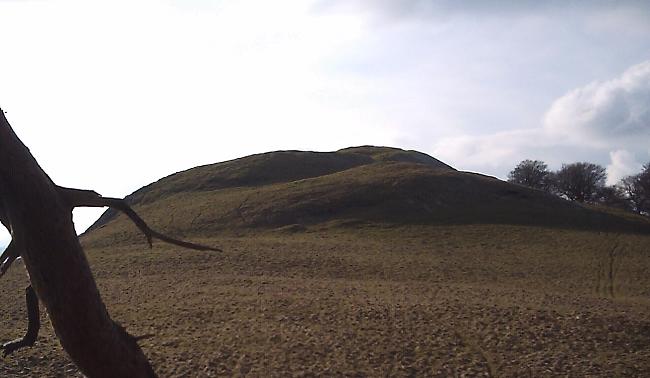 Bizzyberry Hill (Hillfort) by Howburn Digger