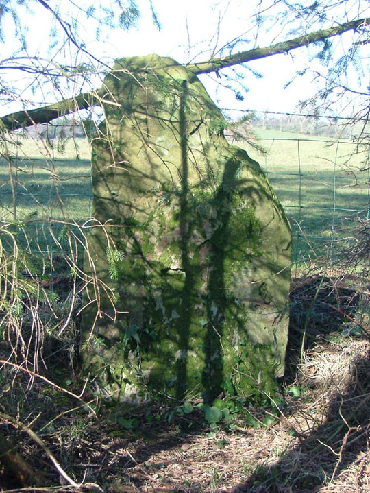 Tyle Bychan (Standing Stone / Menhir) by cerrig