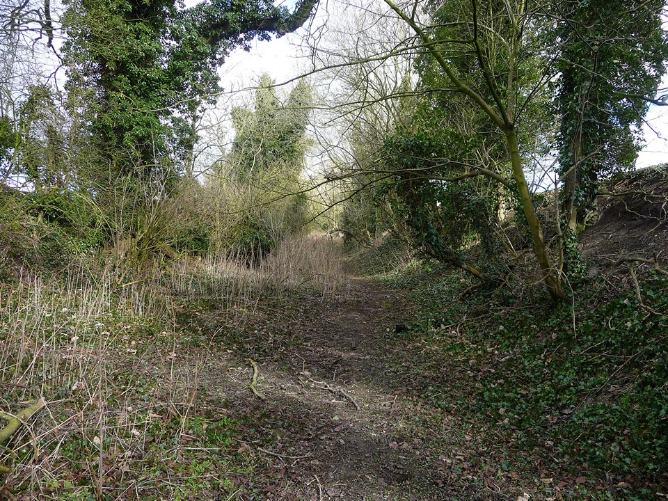 Ridgeway (Southernmost Remains) (Ancient Trackway) by thesweetcheat