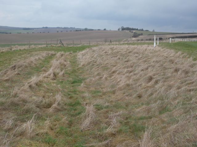 East Garston Ditch (Dyke) by stoer
