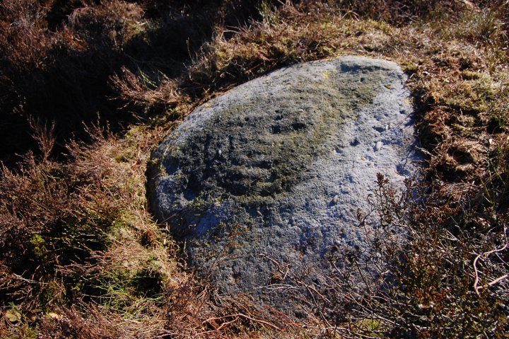 Knotties Stone (Otley Chevin) (Cup and Ring Marks / Rock Art) by listerinepree