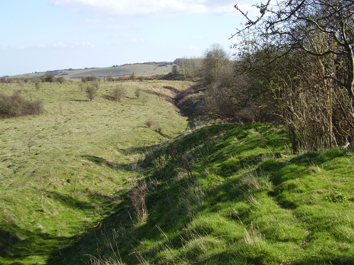 Bokerley Dyke (Dyke) by formicaant