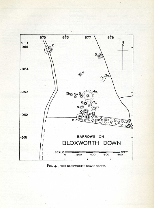 Bloxworth Down (Round Barrow(s)) by formicaant
