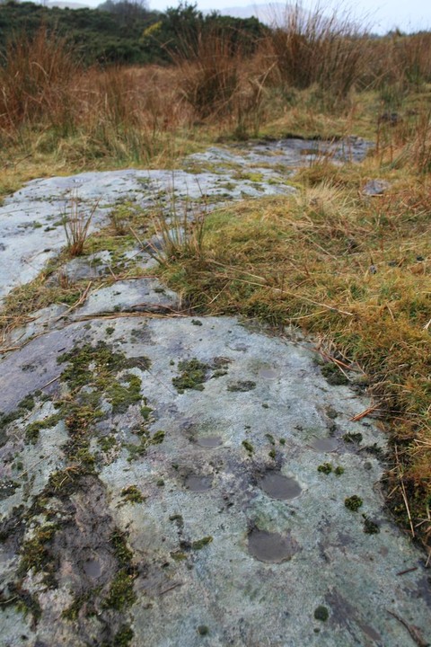 Inveryne (Cup and Ring Marks / Rock Art) by postman