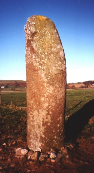 Collessie (Standing Stone / Menhir) by nickbrand