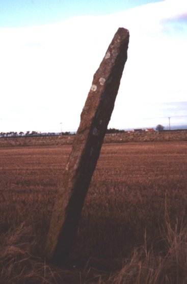 Boarhills (Standing Stone / Menhir) by nickbrand