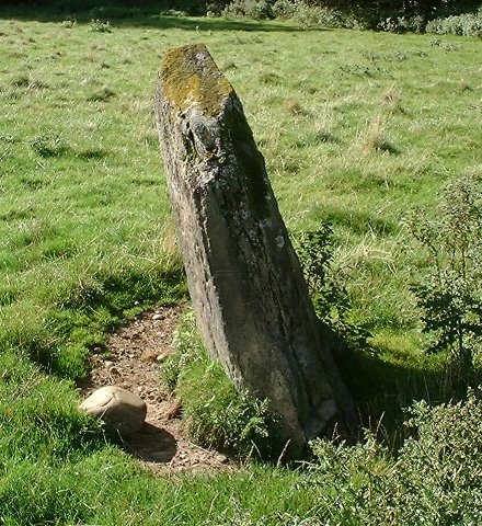 Dunkeld Park Stone (Standing Stone / Menhir) by nickbrand